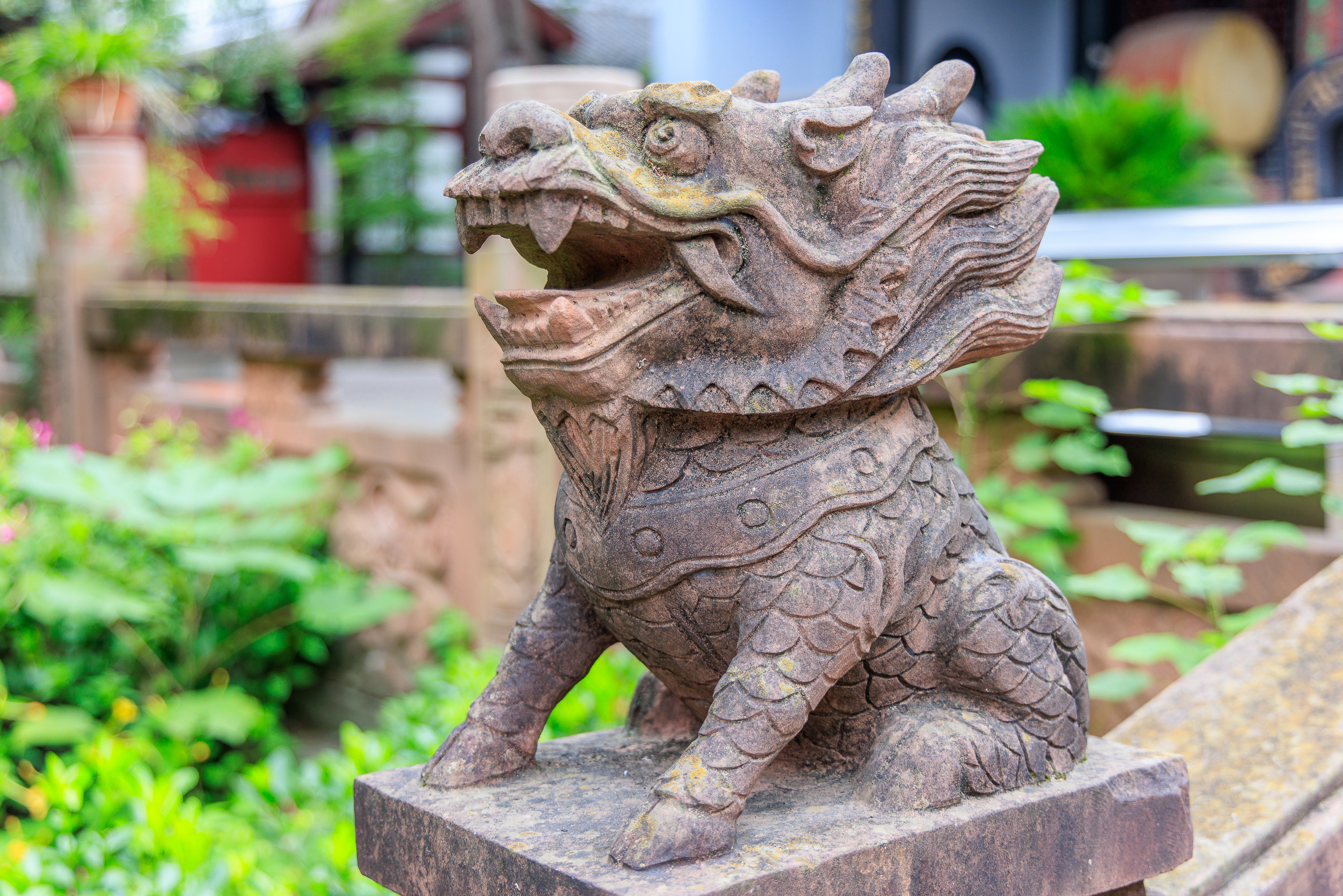Löwenstatue im Green Ram Temple
